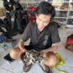 Foto Gede Yudha Prawira - Member Alapirabi, Kontak Jodoh dan Persahabatan Umat Se-Dharma